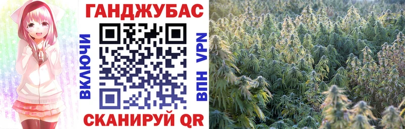Где продают наркотики Сертолово А ПВП  Псилоцибиновые грибы  COCAIN  ГАШИШ  Конопля  МЕФ 