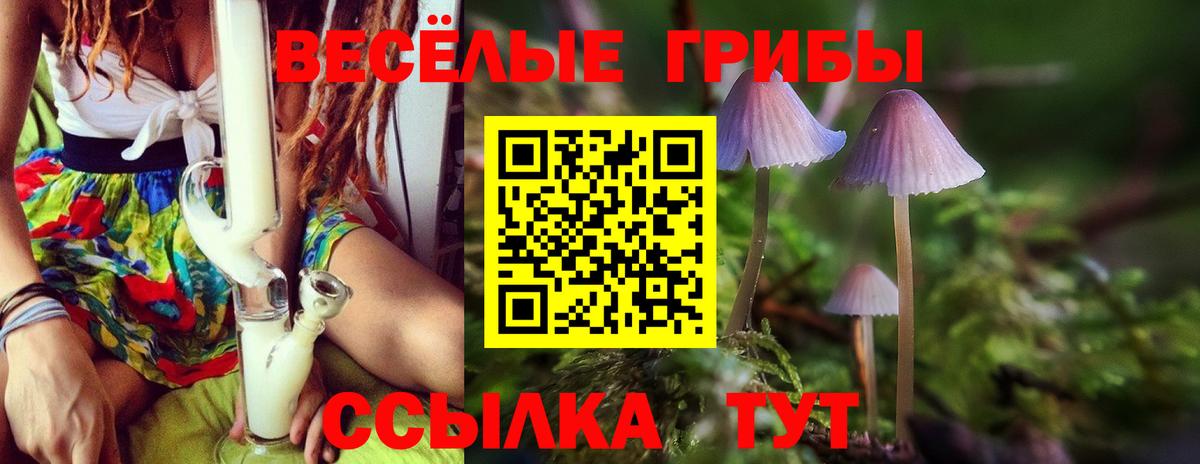 Псилоцибиновые грибы MAGIC MUSHROOMS Сертолово